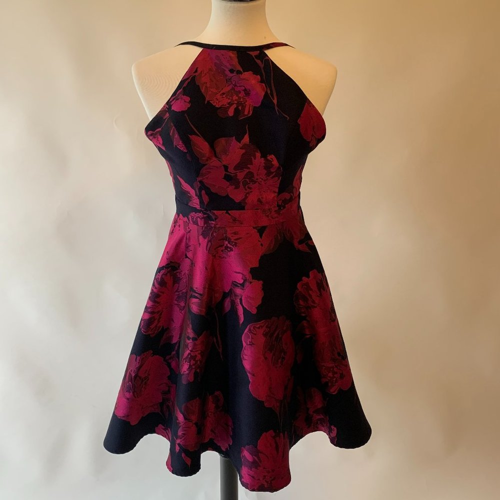 Xscape pink & navy dress